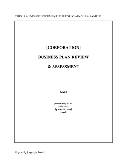 Picture of Business Plan Review and Assessment
