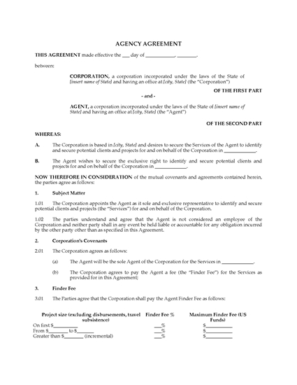 Picture of USA Agency Agreement - international