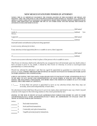 Picture of New Mexico Statutory Power of Attorney