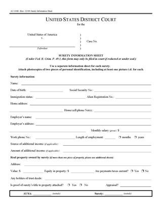Picture of Surety Information Sheet | USA