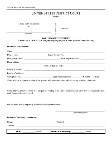 Picture of Bail Information Sheet (USA)