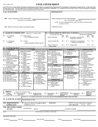 Picture of Civil Cover Sheet (USA)