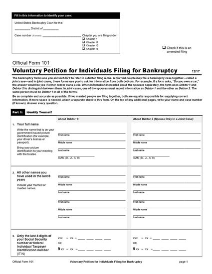 voluntary petition into bankruptcy