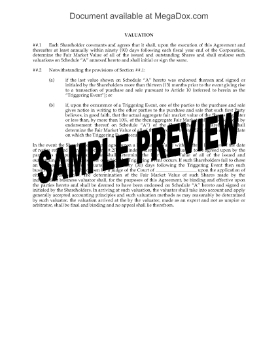 Show details for Valuation of Shares Clause for Shareholder Agreement Picture of Valuation of Shares Clause for Shareholder Agreement