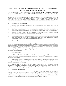 Show details for Stock Photo License for Non-Commercial Use Picture of Stock Photo License for Non-Commercial Use