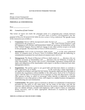 Letter of Intent to Form Joint Venture Letter of Intent to Form Joint Venture