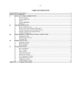 Music Festival Business Plan Music Festival Business Plan