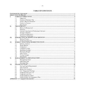 Record Company Business Plan Template Record Company Business Plan Template