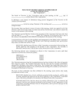 USA Minutes of Initial Directors Meeting USA Minutes of Initial Directors Meeting