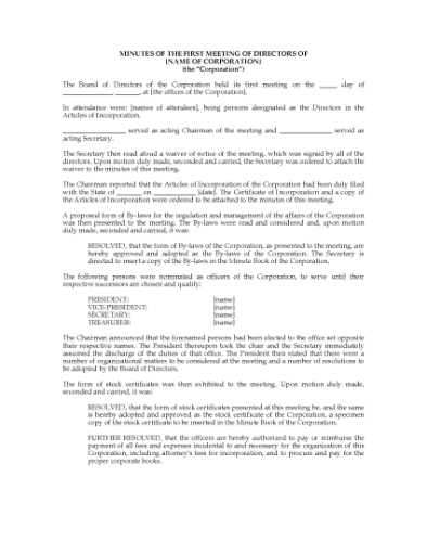 Picture of Minutes of Initial Directors Meeting | USA