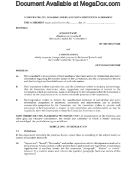 Consultant Nondisclosure and Noncompete Agreement Picture of Consultant Nondisclosure and Non-competition Agreement