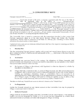 Show details for USA Convertible Note Picture of USA Convertible Note