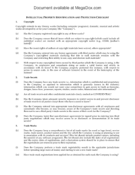 Intellectual Property Checklist and Analysis Intellectual Property Checklist and Analysis