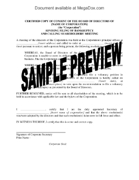 Show details for Directors Minutes Approving Voluntary Petition in Bankruptcy | USA Picture of Directors Minutes Approving Voluntary Petition in Bankruptcy | USA