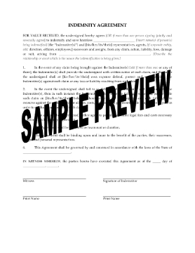 Show details for Indemnity Agreement | USA Picture of Indemnity Agreement | USA