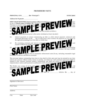 USA Promissory Note for Interest Only USA Promissory Note for Interest Only