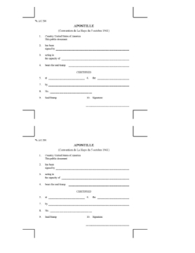 USA Apostille Certificate Picture of Apostille Certificate | USA