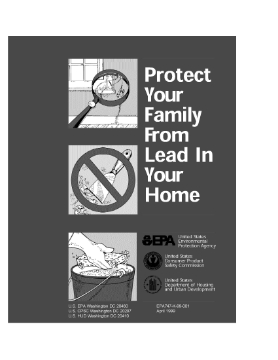 Show details for Protect Your Family From Lead in Your Home Pamphlet | USA Picture of Protect Your Family From Lead in Your Home Pamphlet | USA