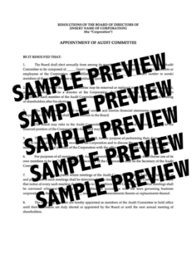 USA Directors Resolutions Forming Audit Committee USA Directors Resolutions to Form Audit Committee