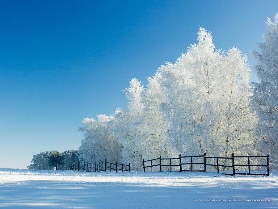 How to Stay Safe and Keep Warm in Winter Emergencies