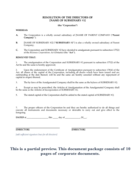 Ontario corporate documents for short form horizontal amalgamation Ontario corporate documents for short form horizontal amalgamation