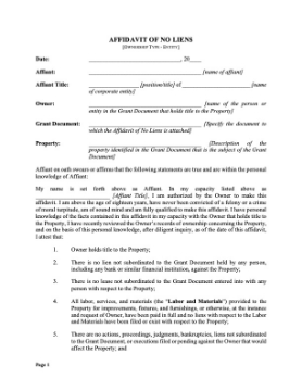 Show details for Texas Affidavit of No Liens - Entity Picture of Texas Affidavit of No Liens - Entity