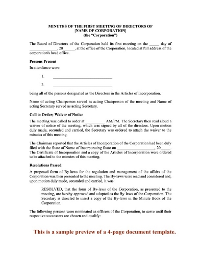 USA Minutes of Initial Directors Meeting