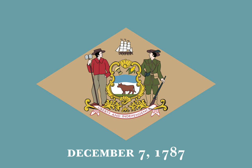 Delaware state flag
